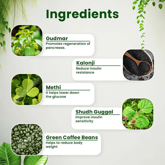 Diabtose & Slimo Ayurveda Capsule